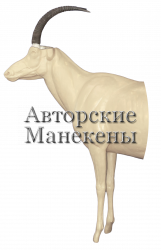 Манекен роан (лошадиная антилопа) РОАМ-1 Л 1/2