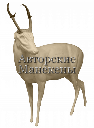 Манекен мунтжак индийский МИНМ-1 Л