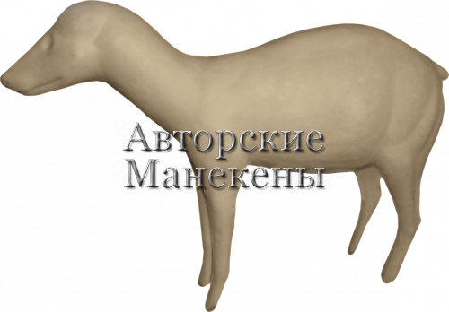 Манекен енотовидная собака ЕНТМ-3
