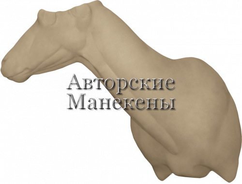 Манекен козел безоаровый белуджистанский (синдский) БЗБТ-1 П