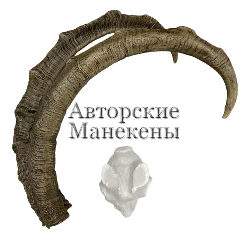 Рога козел кри-кри (греческий) с лобовиной
