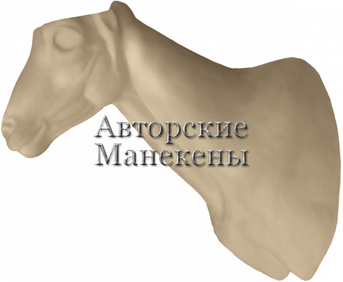 Манекен тур кубанский ТКУТ-1