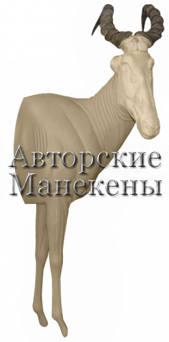Манекен хартебист западный ХАДМ-1 П 1/2