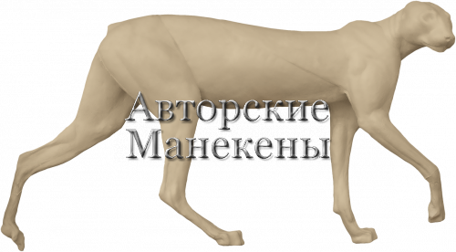 Манекен рысь европейская РЫСМ-11 П