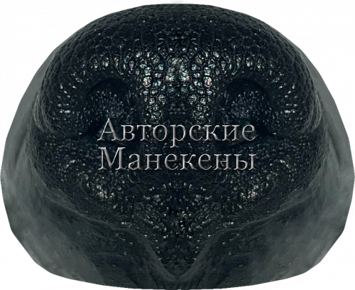 Нос лиса