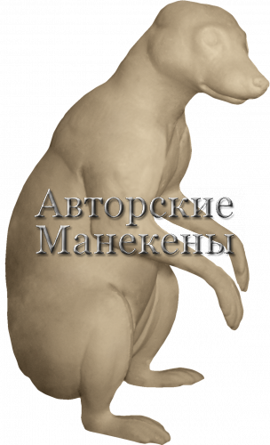 Манекен енот-полоскун ЕПЛМ-2 П