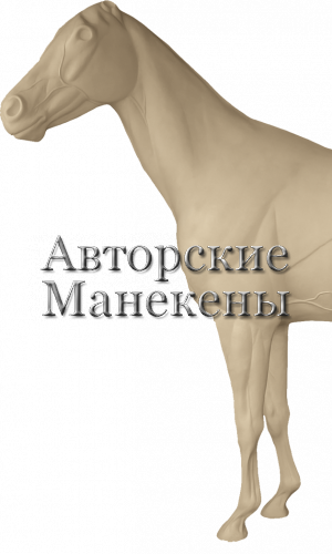 Манекен лошадь ЛОШМ-1 Л 1/2