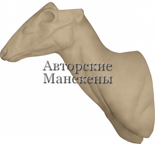Манекен дукер рыжий (Петерса) ДУРТ-2 П