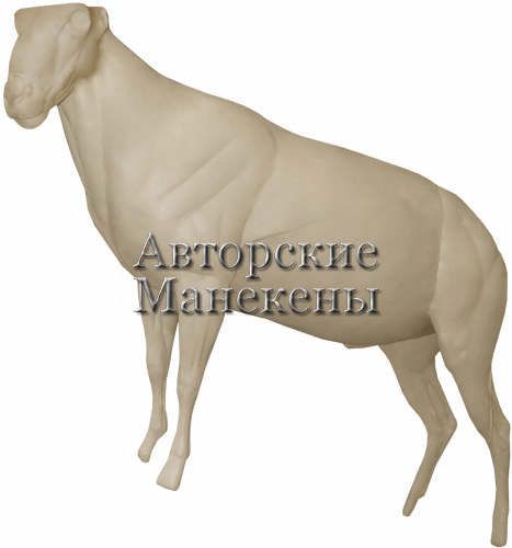 Манекен тур дагестанский ТДГМ-1 Л