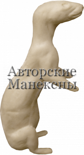 Манекен горностай ГОРМ-1