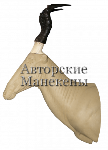 Манекен хартебист Джексона ХАДТ-3