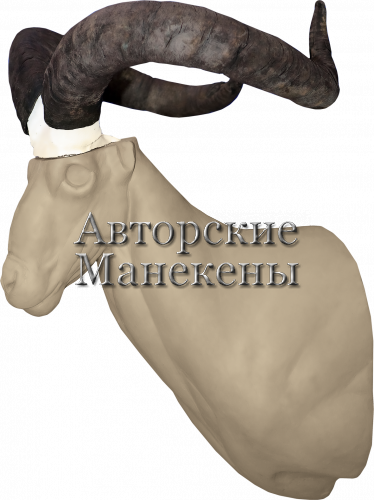 Манекен тур дагестанский ТДГТ-2