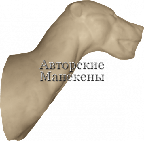 Манекен медведь бурый МДВТ-1