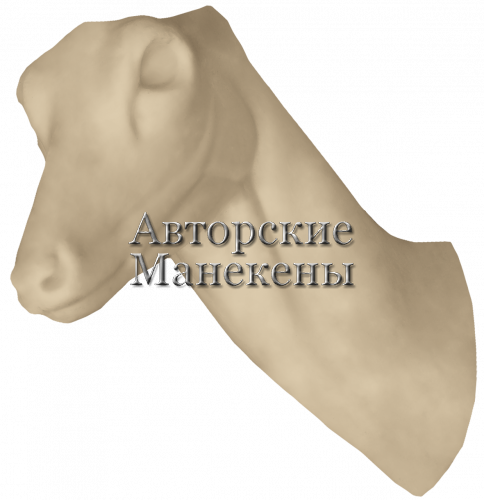 Манекен косуля европейская КСЕТ-5 Л