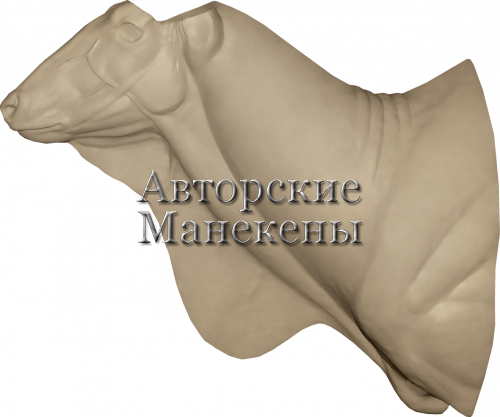 Манекен иланд Лорд Дерби (канна) ИЛДТ-5