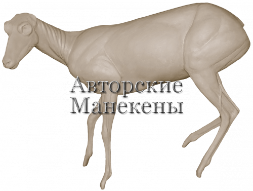 Манекен серна кантебрийская СЕРМ-2 Л