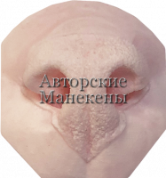 Нос рысь