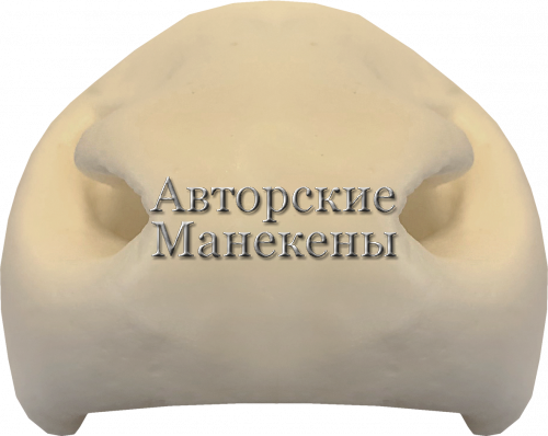 Нос олень благородный, марал