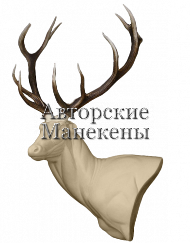 Манекен олень благородный ОЛБП-2 Л