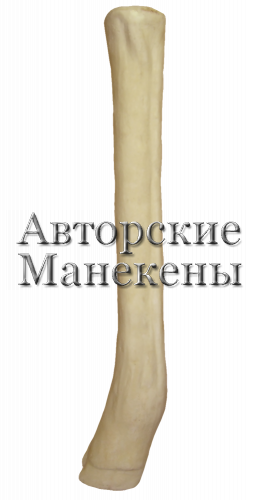 Нога жираф