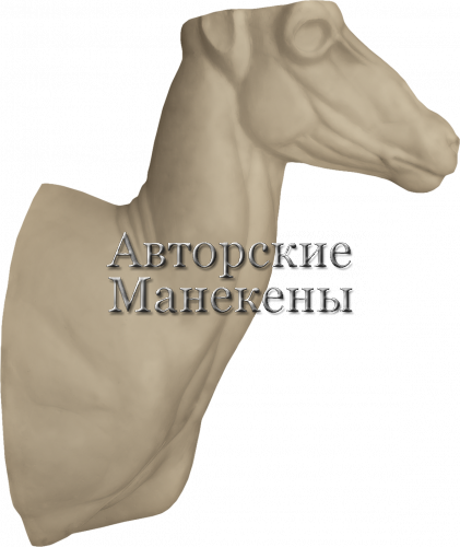 Манекен аргали гобийский АГОТ-2