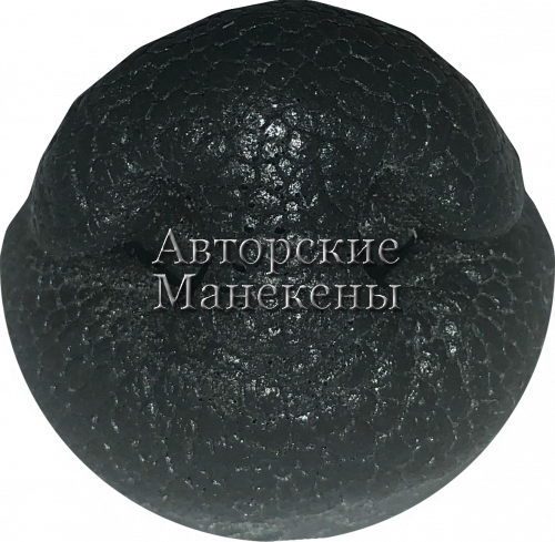 Нос барсук