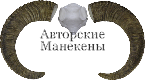 Рога муфлон исфаханский с лобовиной