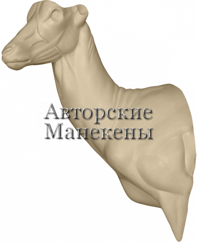 Манекен импала ИМЛТ-3 Л