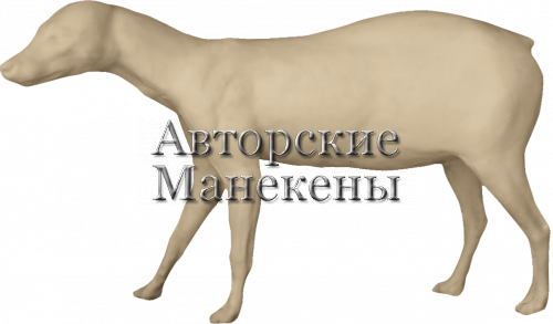 Манекен енотовидная собака ЕНТМ-2 Л