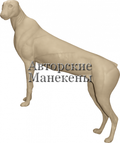 Манекен гепард ГЕПМ-5 Л