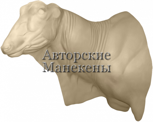 Манекен иланд Лорд Дерби (канна) ИЛДТ-3 Л