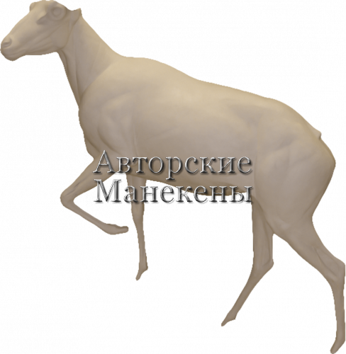 Манекен аргали алтайский ААЛМ-1 Л