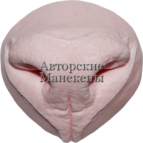 Нос пума