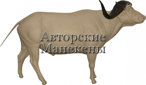 Манекен буйвол капский БФЛМ-1