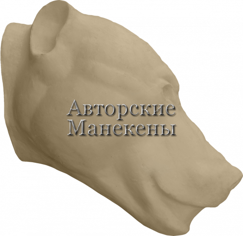 Манекен медведь бурый МДВС-7