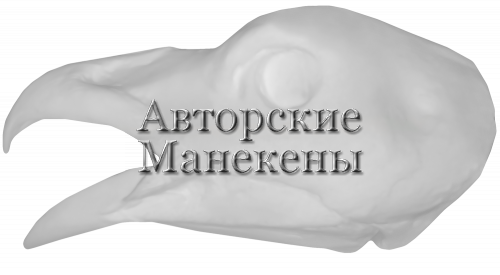 Голова глухарь