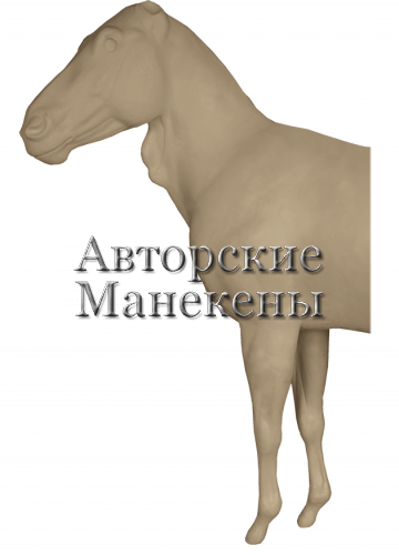 Манекен зебра горная ЗЕБМ-1 Л 1/2