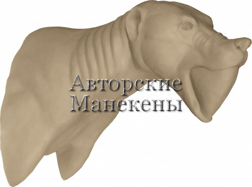 Манекен медведь бурый МДВТ-5 П