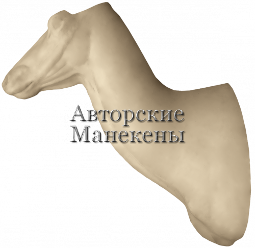Манекен олень благородный ОЛБТ-1