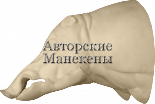 Манекен кабан КБНТ-1-3
