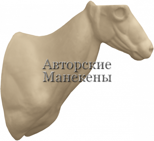 Манекен тур дагестанский ТДГТ-1
