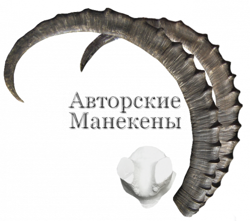 Рога козерог среднеазиатский с лобовиной