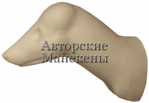 Манекен енотовидная собака ЕНТТ-1