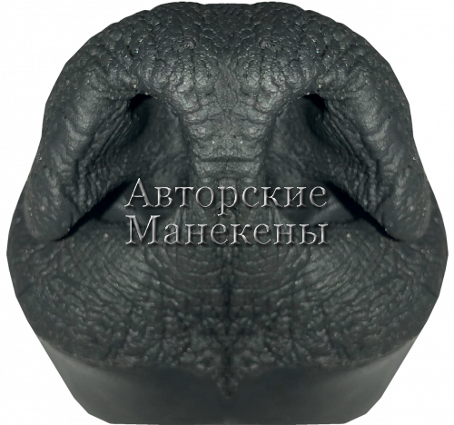 Нос медведь