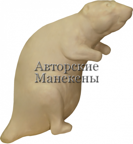 Манекен бобр ББРМ-7