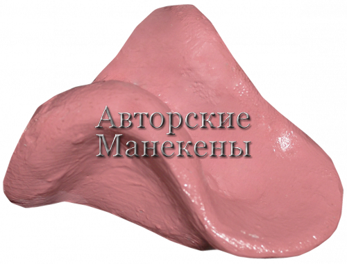 Язык рысь ЯРС-2