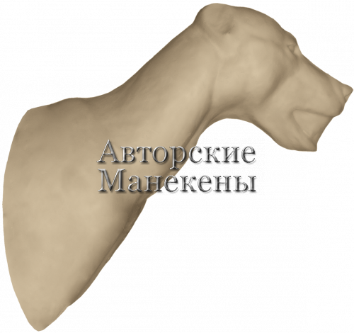 Манекен медведь бурый МДВТ-2