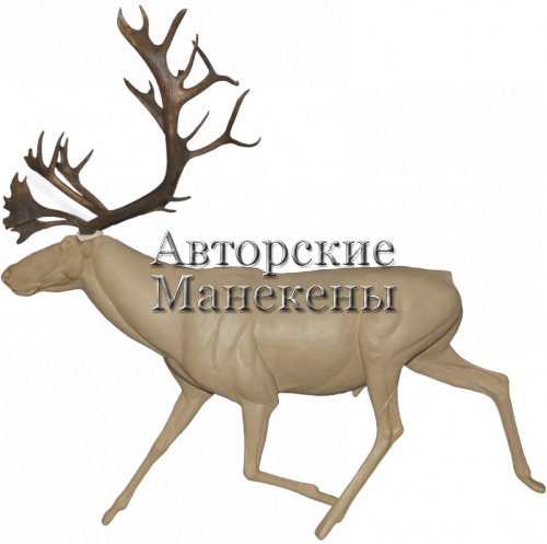 Манекен олень северный СОЛМ-2