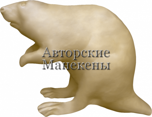 Манекен бобр ББРМ-3