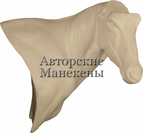 Манекен орикс обыкновенный ОРСП-1 П